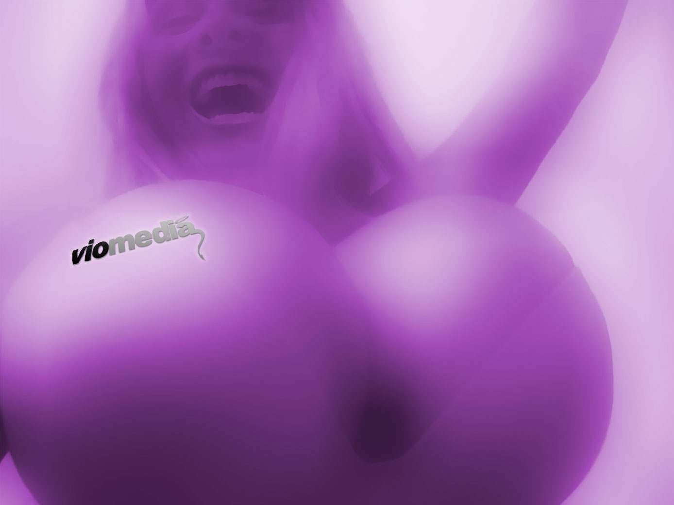- FDMStudio